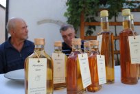 Razstava marelic na Planini, julij 2012